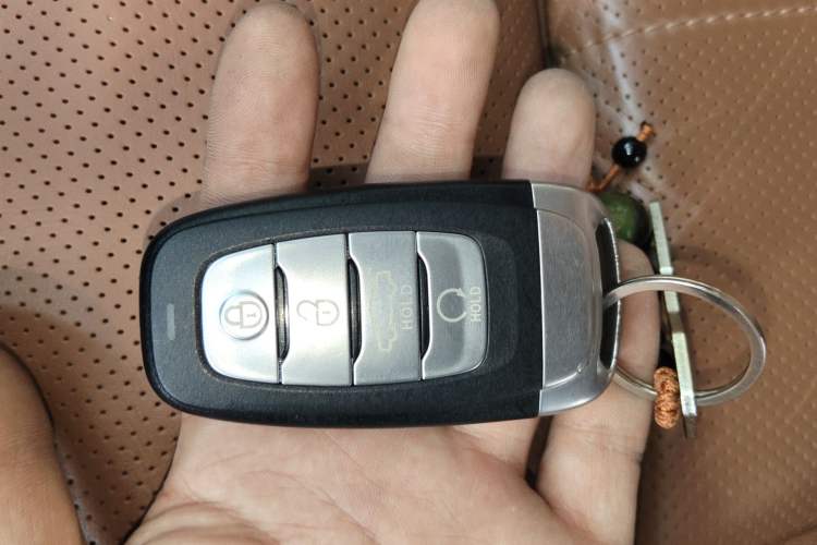 Used Hongqi H9 2020 2.0T Smart Connect Flagship Edition