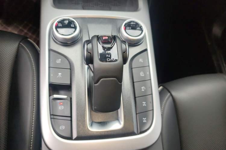 Used Tank 300 2024 2.0T Conqueror
