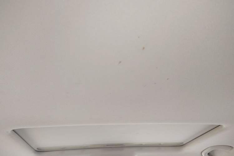 Used Skoda Rapid 2018 1.6L Automatic Comfort Edition Headliner