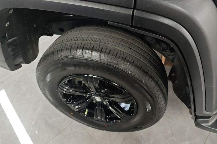 Used Tank 300 2024 2.0T Conqueror