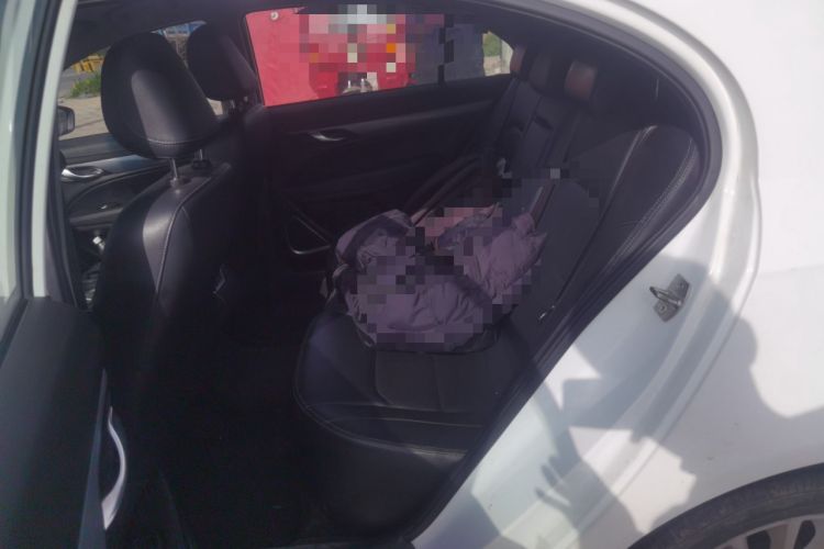 Used Geely Auto Emgrand New Energy 2019 EV500 Ambition Standard Range Edition Left Rear Seat