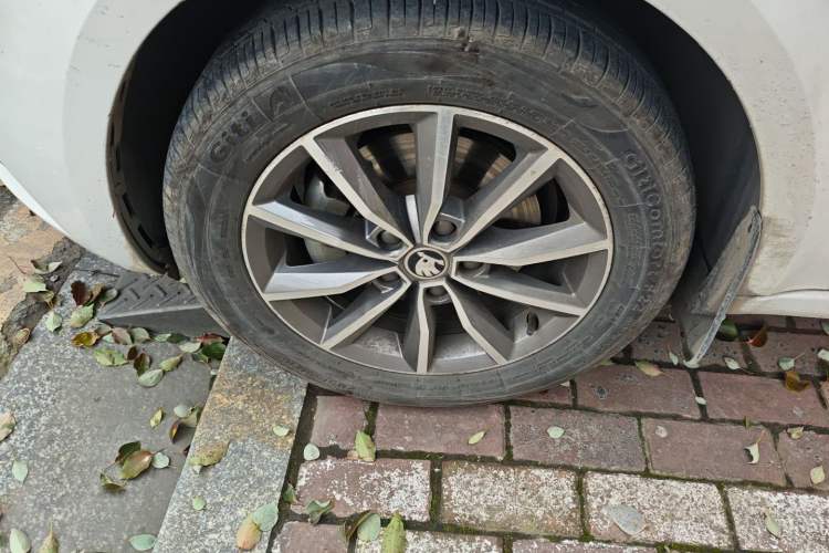 Used Skoda Octavia 2019 1.5L Automatic Comfort Edition
