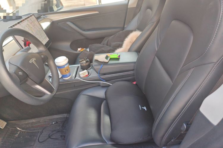 Used Tesla Model Y 2021 Standard Range Rear-Wheel Drive Version
