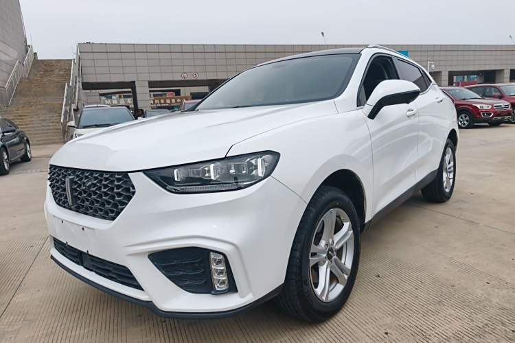 Used Wey VV5 2020 1.5T Two-Wheel Drive Color Pioneer