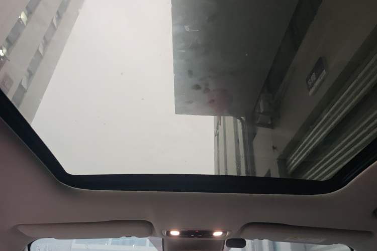 Used Leapmotor C11 2021 Luxury Edition