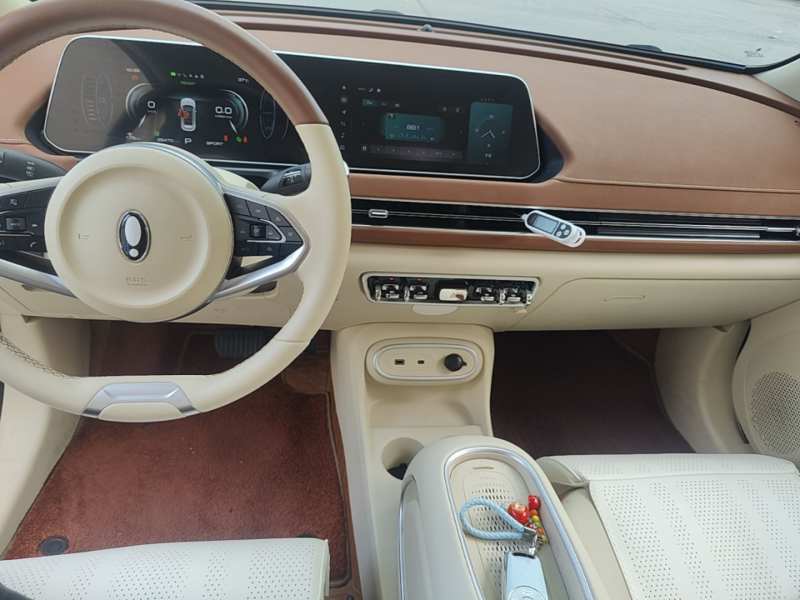 Used ORA Good Cat 2024 401 km Luxury Version — 9