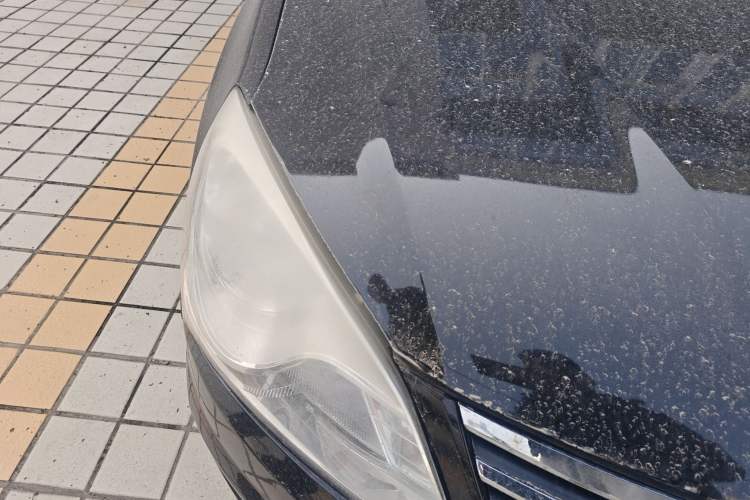 Used Hyundai Celesta 2011 1.6L Manual Comfort Edition
