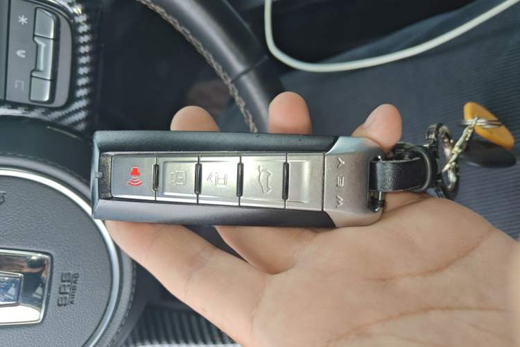 Used Tank 300 2021 Off-Road Edition 2.0T Challenger Vehicle Key