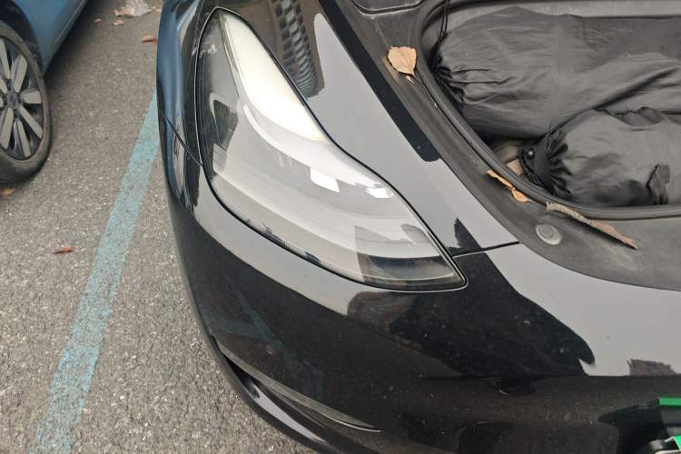 Used Tesla Model Y 2021 Standard Range Rear-Wheel Drive Version