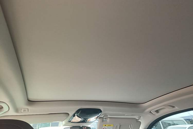 Used BMW iX3 2021 Leading Model Headliner