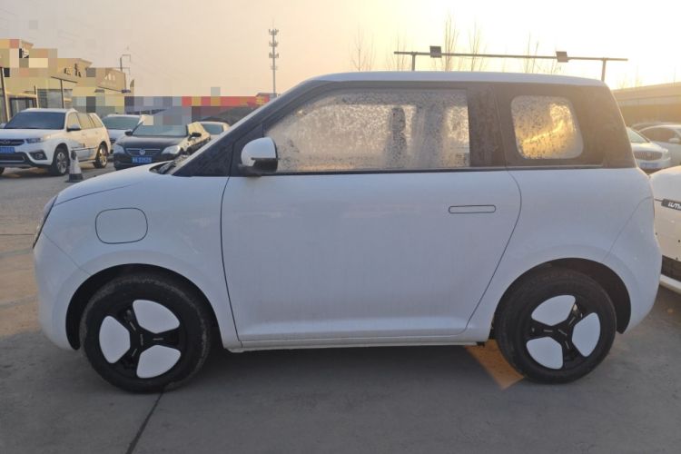 Used Qiyuan Lumin 2025 205 km Xiangqin Version
