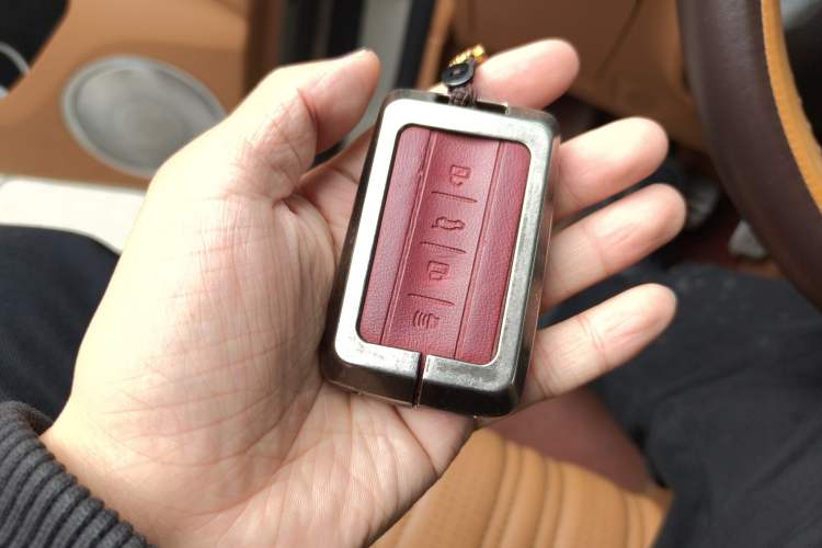 Used Tank 500 New Energy 2023 Hi4-T Vehicle Key