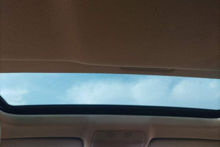 Used BMW X6 2012 xDrive35i Headliner