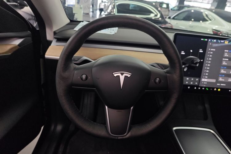 Used Tesla Model Y 2021 Standard Range Rear-Wheel Drive Version
