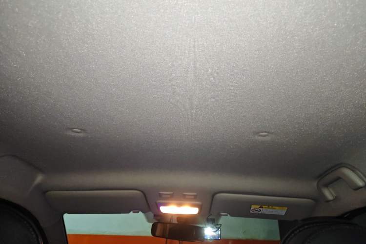 Used ORA Black Cat 2021 301 km Basic Version Headliner