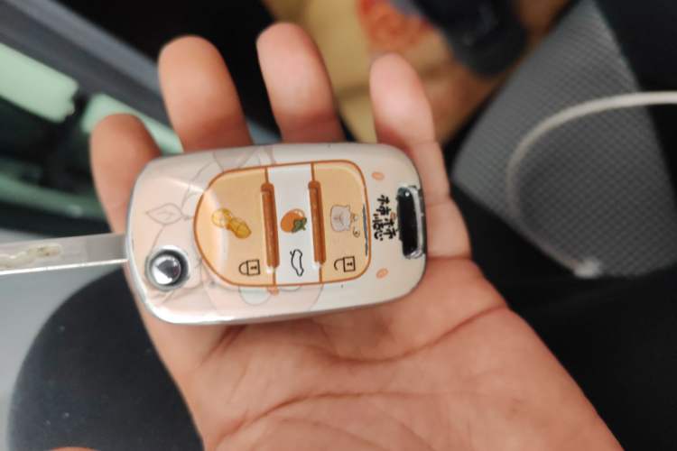 Used Wuling Hongguang MINIEV 2024 3rd Generation 215km Youth Edition Vehicle Key