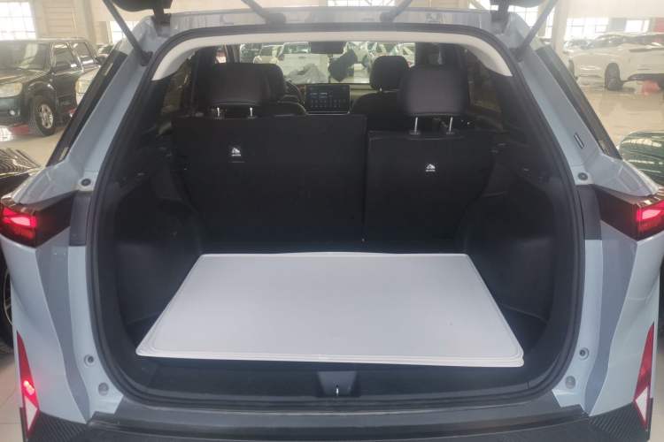 Used Venucia VX6 2024 450 Travel Edition