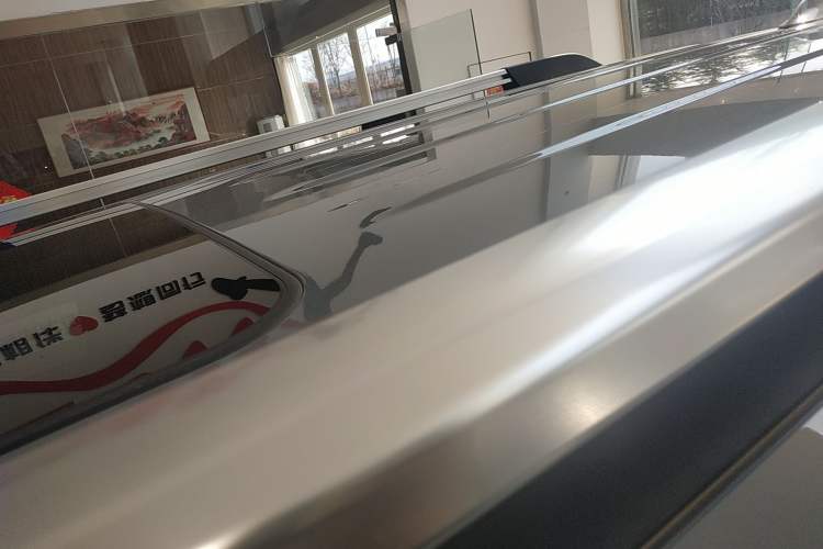 Used Tank 300 2021 City Edition 2.0T—Truly Stylish