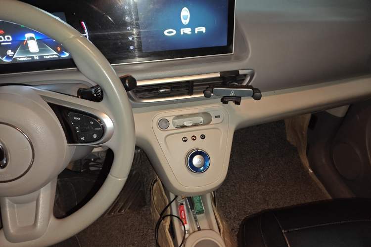 Used ORA White Cat 2020 360 km Luxury Version