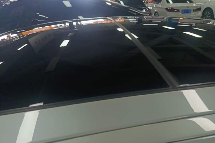 Used BMW 5 Series New Energy 2020 530Le Luxury Package Roof