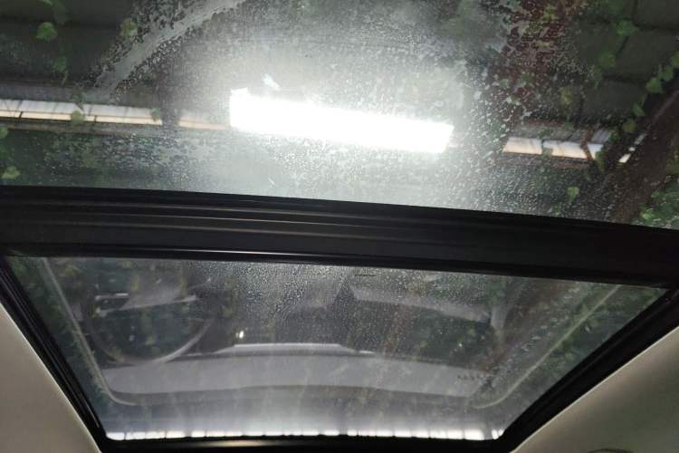 Used Leapmotor C11 2021 Zhixing Edition 510