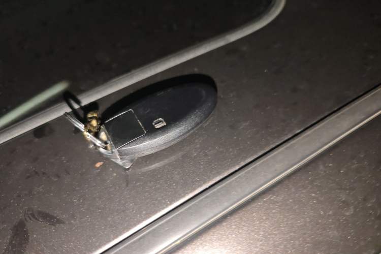 Used Infiniti Q50L 2016 2.0T Ambition Edition Vehicle Key