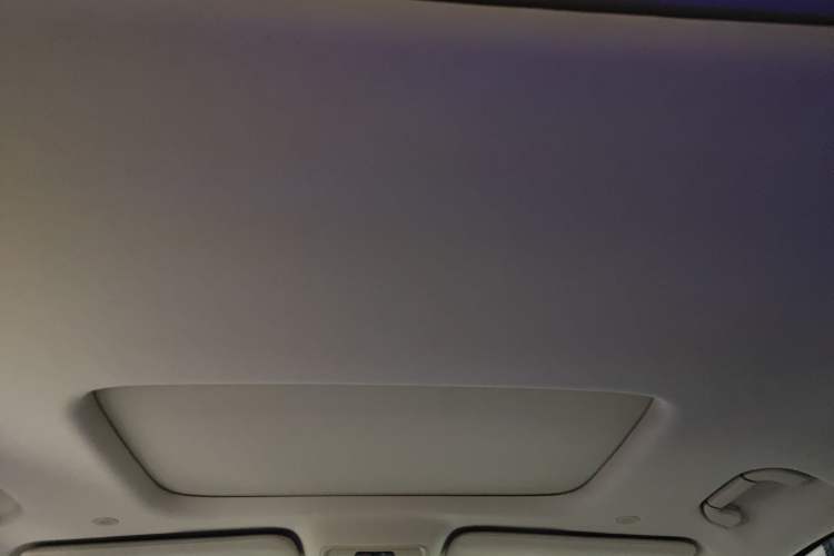 Used Denza D9 2022 DM-i 970 Four-Wheel Drive Prestige Model Headliner