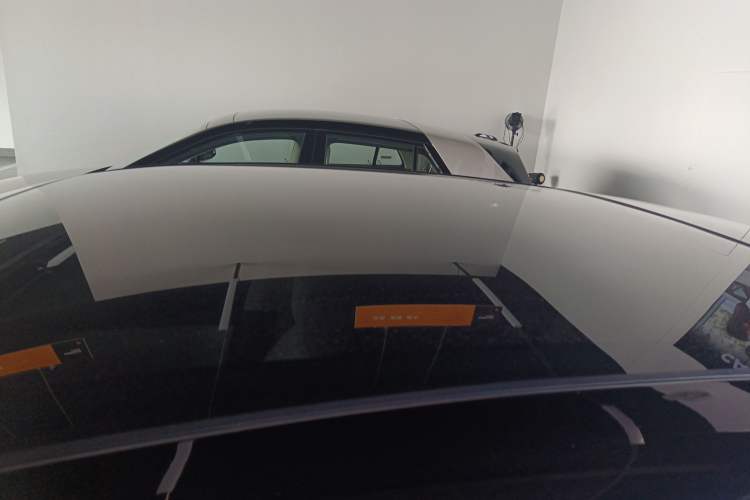 Used firefly firefly 2025 Illuminated Edition