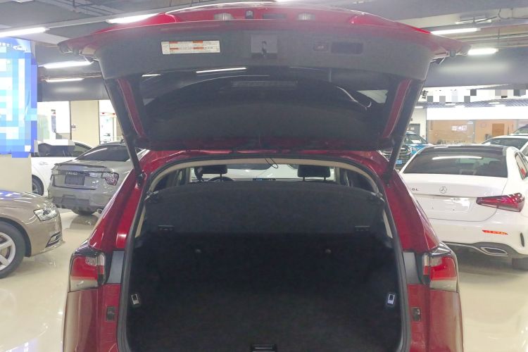 Used Lexus NX 2016 200 All-Wheel Drive FENGSHANG Version