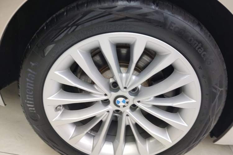 Used BMW 5 Series New Energy 2021 535Le Luxury Package