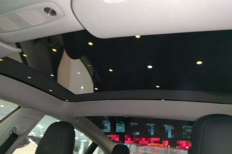 Used Tesla Model 3 2021 Performance High-Performance All-Wheel-Drive Version