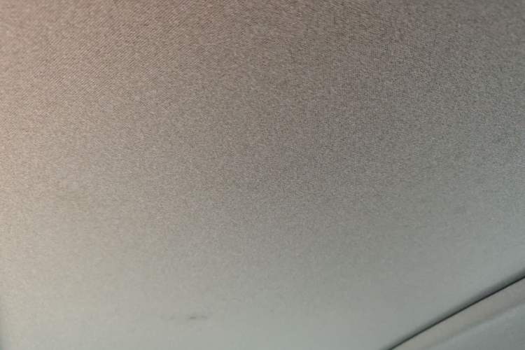 Used Hyundai Santa Fe 2019 380 TGDi GLS Automatic 2WD Luxury Version China VI Standard Headliner