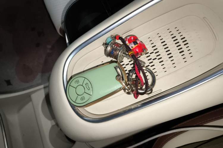 Used ORA Good Cat 2023 401 km Standard Range Premium Version Lithium Iron Phosphate
