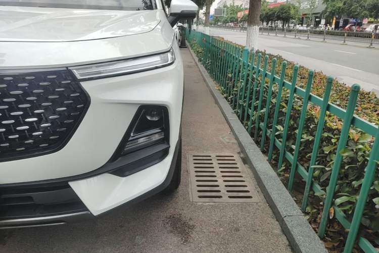 Used Baojun RS-5 2019 1.5T CVT Intelligent Drive Luxury Edition China VI
