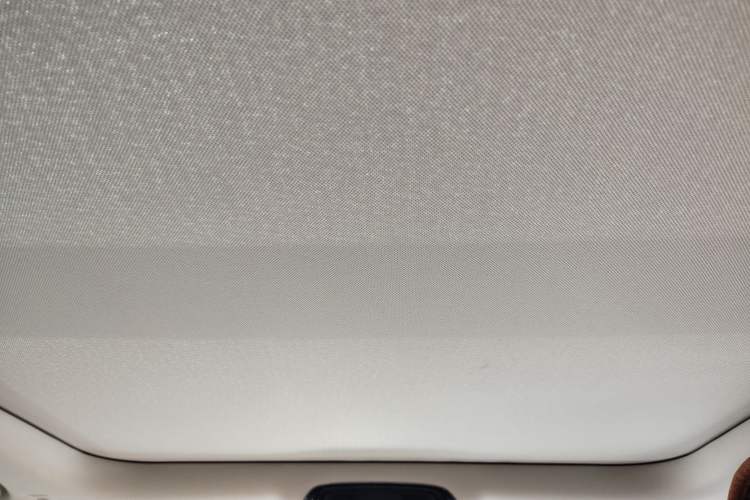 Used BMW 3 Series 2020 320Li M Sport Package Headliner