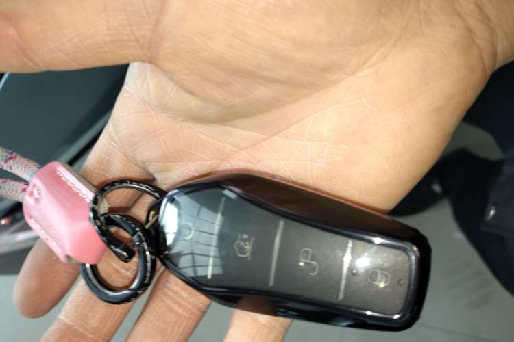 Used BYD Qin PLUS 2025 DM-i Smart Drive 55KM Leading Model Interior 1