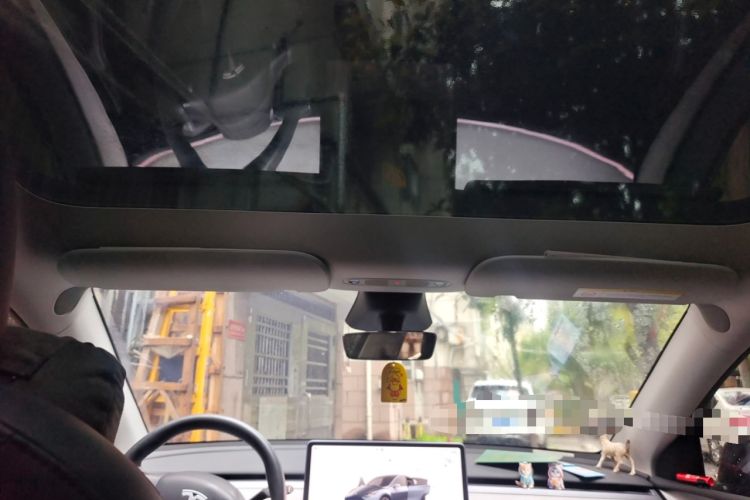 Used Tesla Model Y 2024 Rear-Wheel-Drive Version Headliner