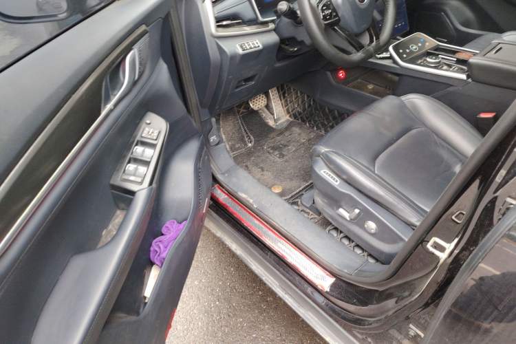 Used WM Motor EX6 2020 Plus Founder's Edition – First Launch