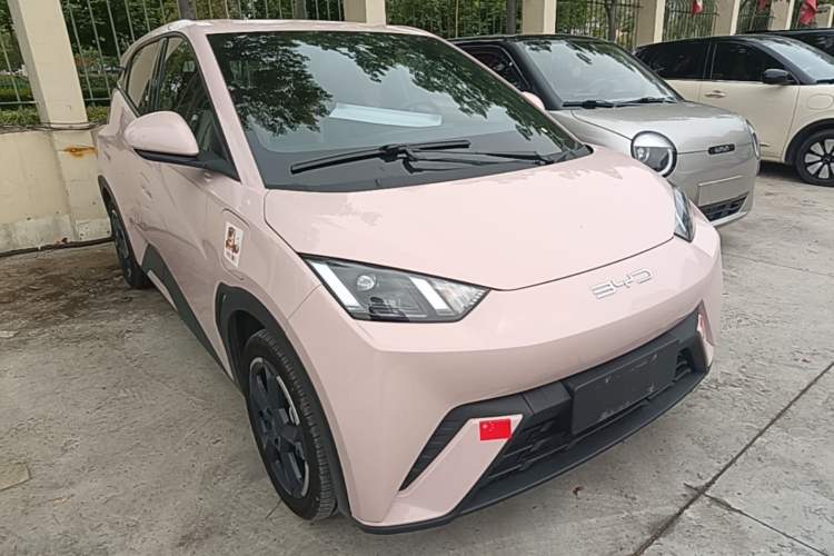 Used BYD Seagull 2023 Flying Edition Exterior 1