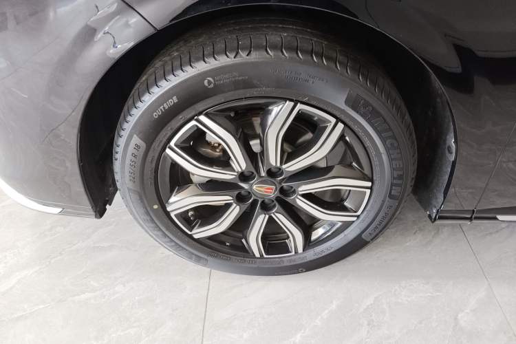 Used Hongqi HQ9 2023 2.0T Smart Connect Flagship Edition Exterior 4