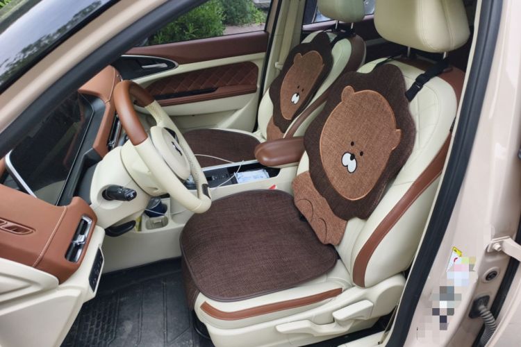 Used ORA Good Cat 2021 400km Standard Range Venus Edition Lithium-Ion Battery Left Front Seat