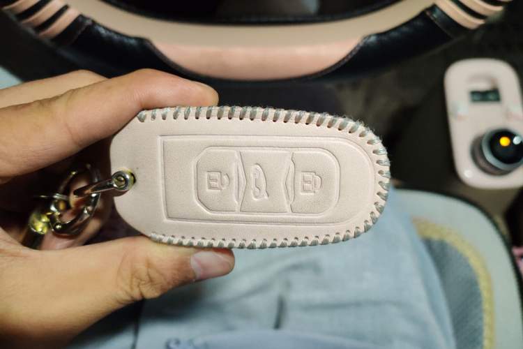 Used Geely Galaxy Panda 2024 Panda Mini 200km Endurance Bear
