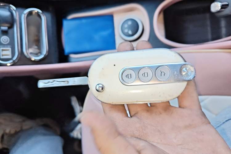 Used Wuling Hongguang MINIEV 2022 Enjoy Edition Lithium Iron Phosphate