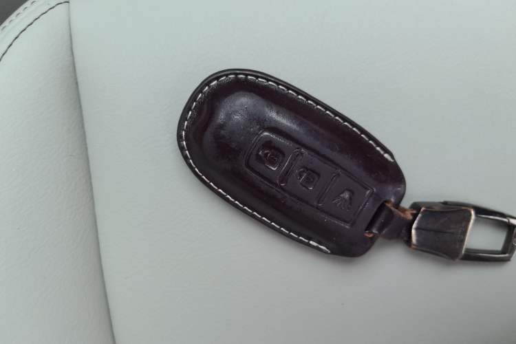 Used Venucia T90 2018 2.0L CVT Smart Connect Luxury Edition China V Standard
