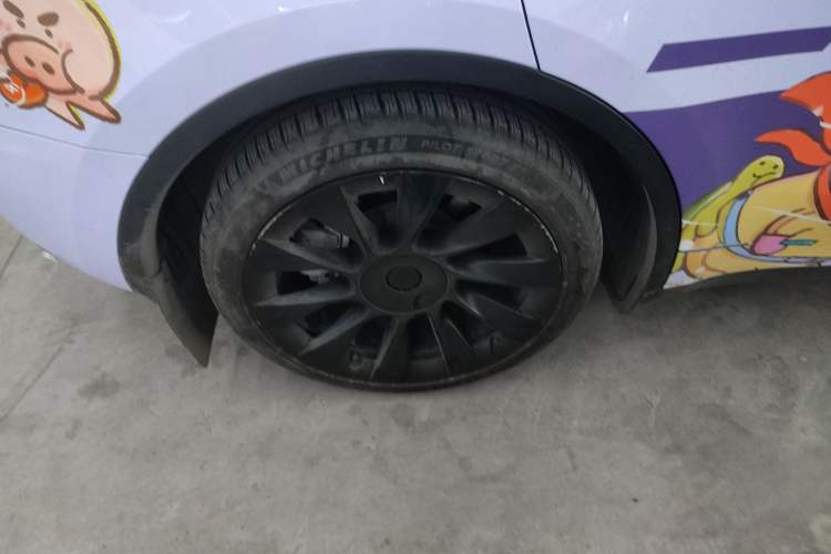 Used Tesla Model Y 2022 Rear-Wheel-Drive Version