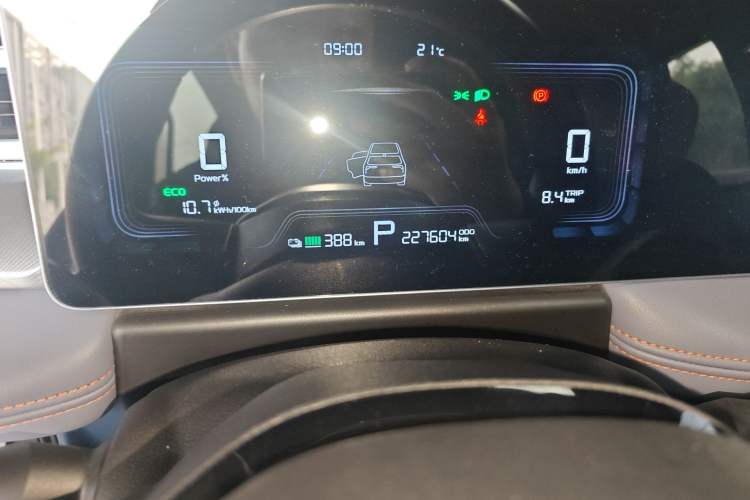 Used Geometry E Firefly 2022 401 km Linglong Tiger 4 Seats Odometer Close Up