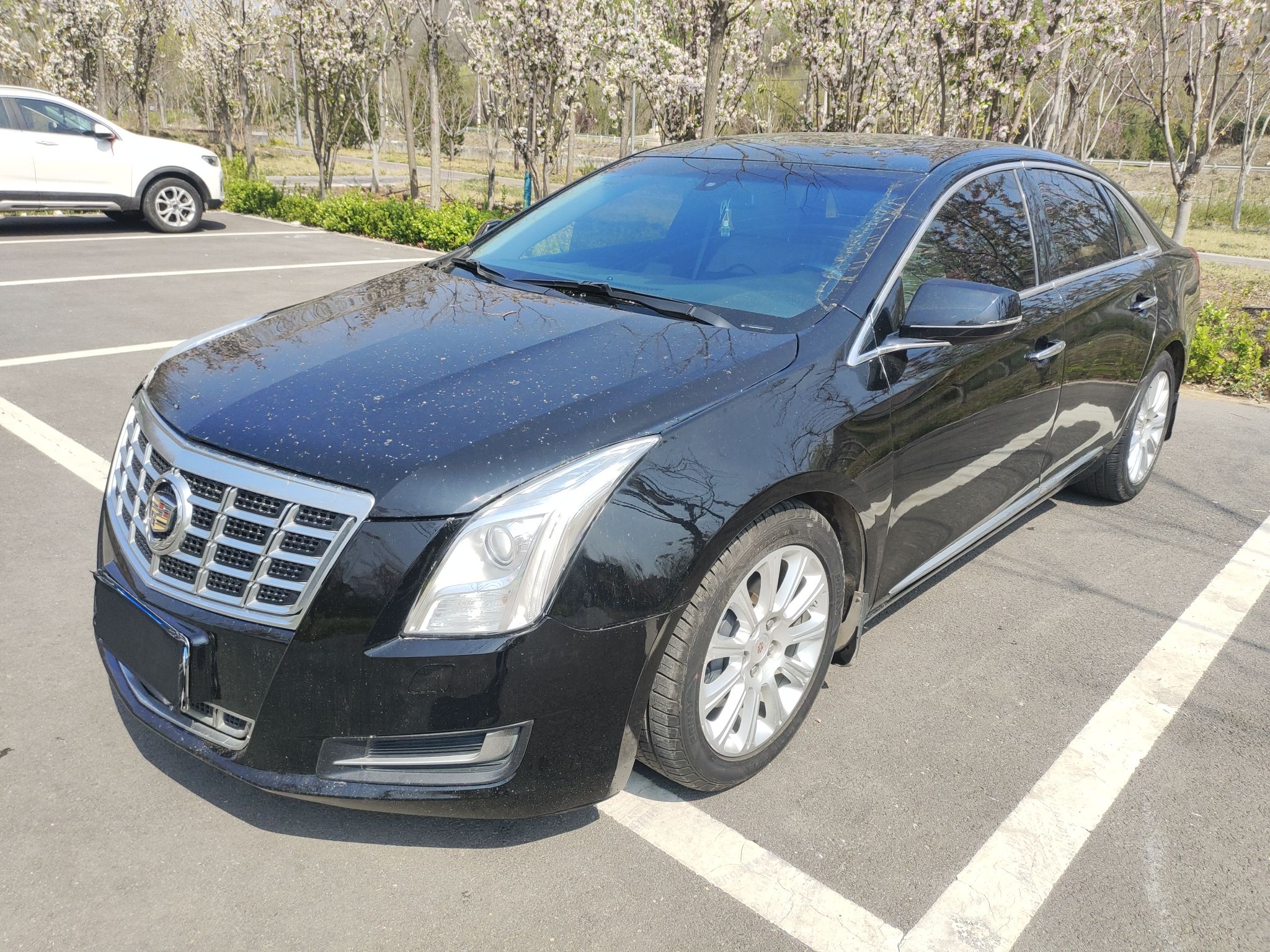 Parte inferior delantera