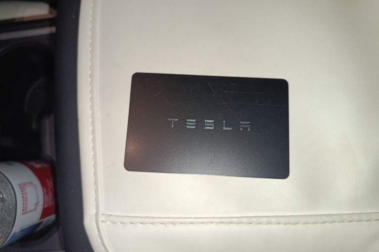 Used Tesla Model Y 2021 Standard Range Rear-Wheel Drive Version
