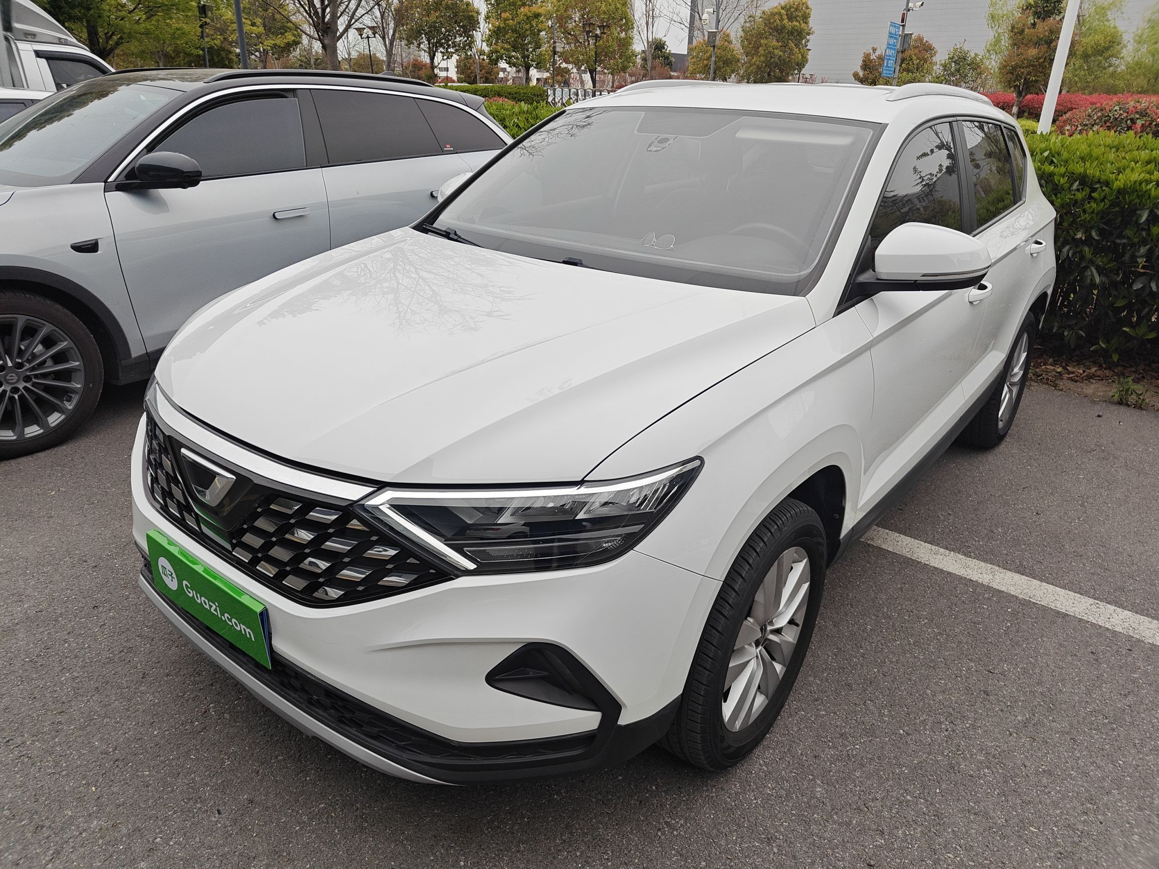 Parte inferior delantera