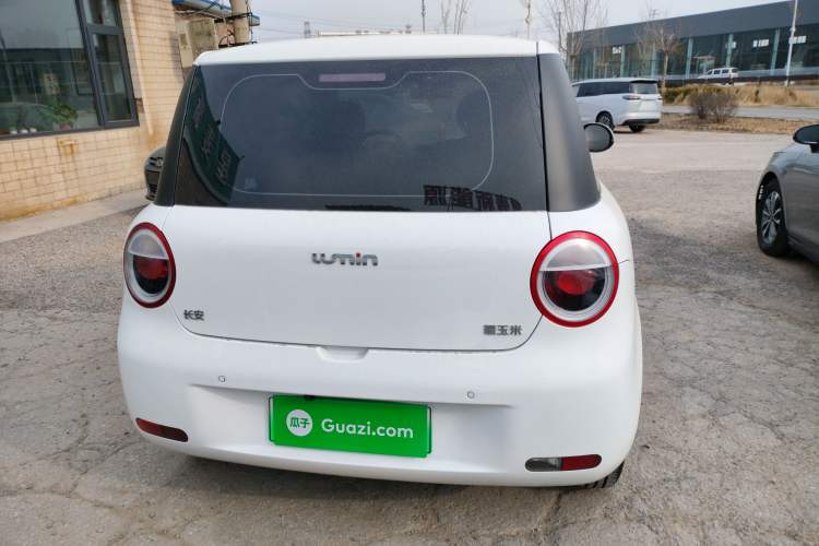 Used Qiyuan Lumin 2023 205km Xiangqin Version
